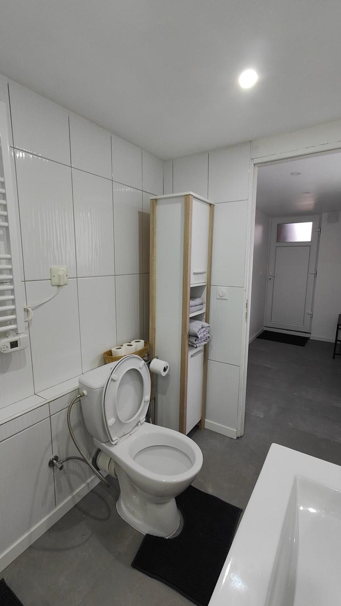 Bel Appartement F2 Entierement Renove 셀레스탓 외부 사진